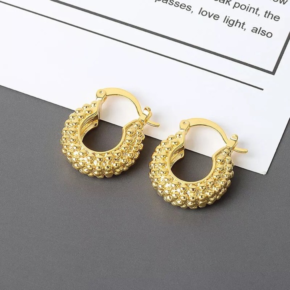 Jewelry - New Gold Vermeil Silver Thick Hoop Earrings